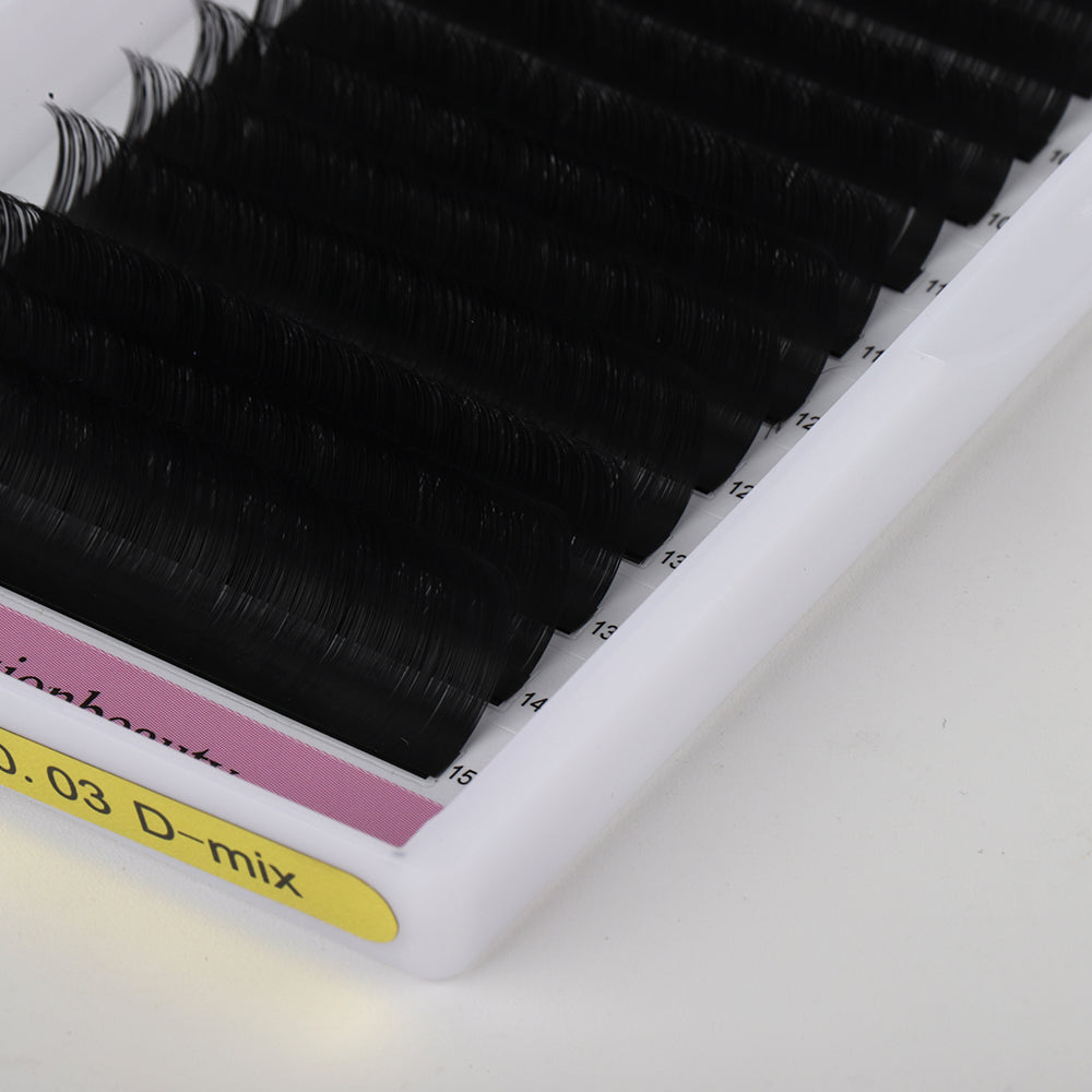 Volume 0.03- D Curl